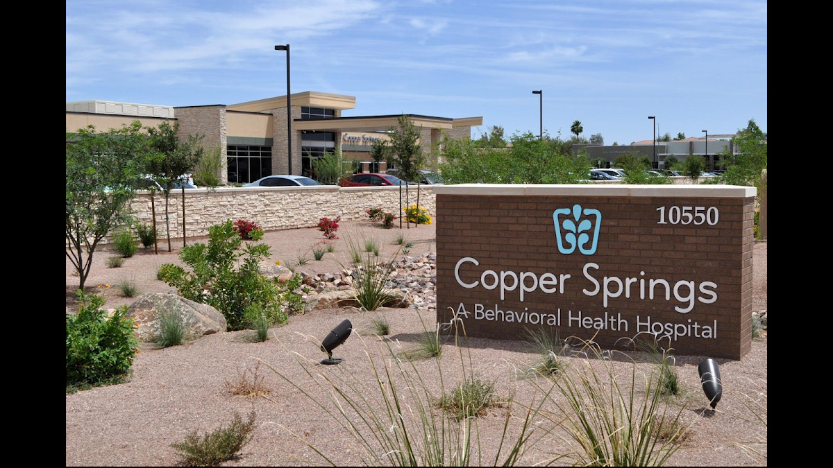 Copper Springs - Foto 6