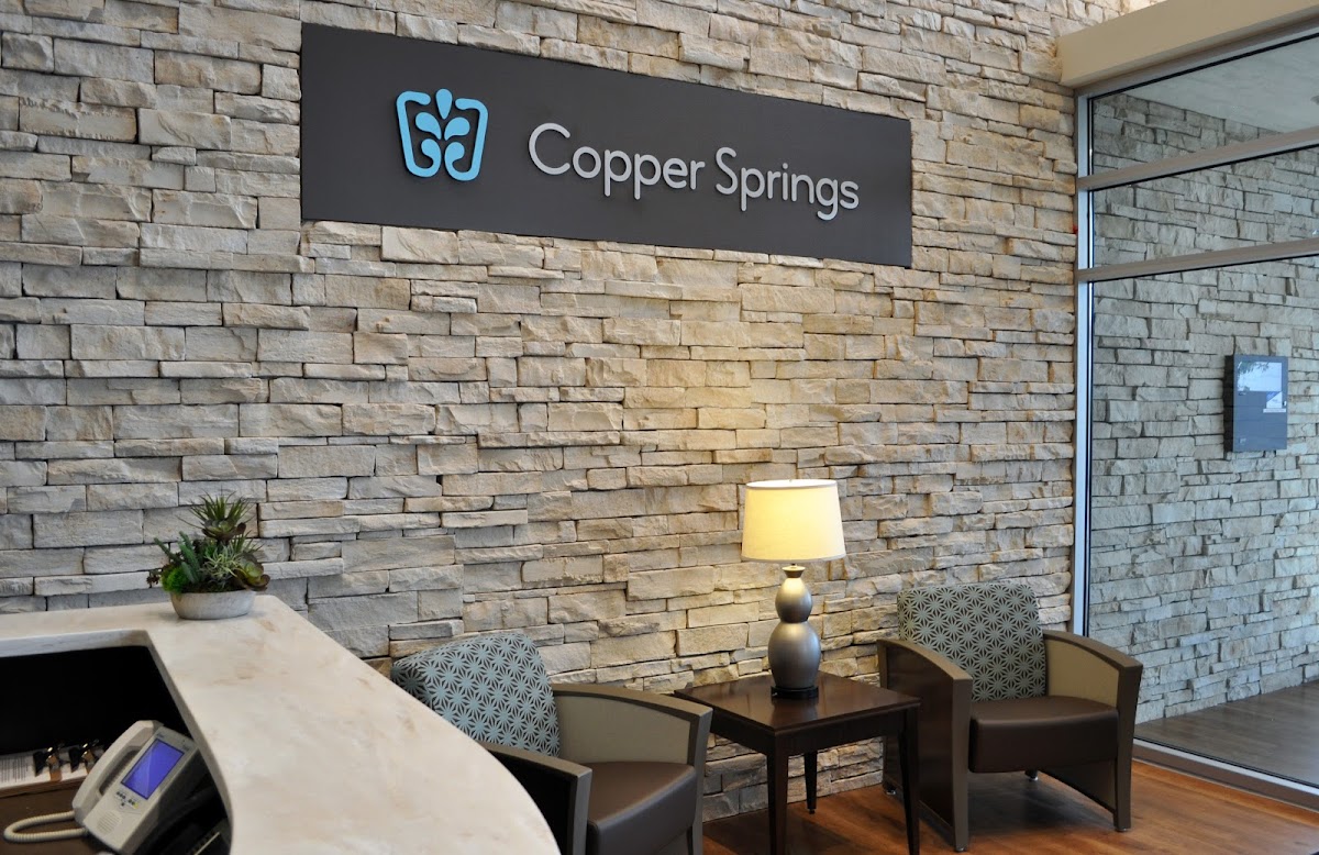 Copper Springs - Photo 3