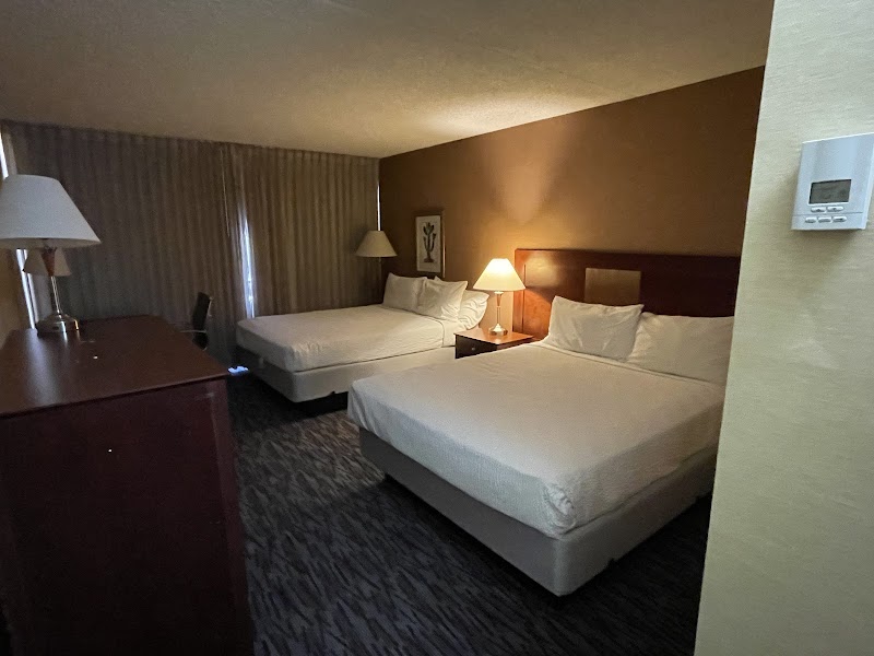 New Freedom - Photo 2