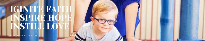 The Bridge to Hope - Photo 1