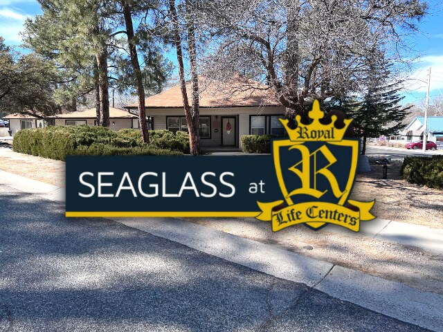 Seaglass Recovery At Royal - Ảnh 5